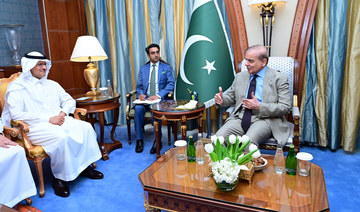 PM welcomes Ƶ’s interest in developing energy projects in Pakistan